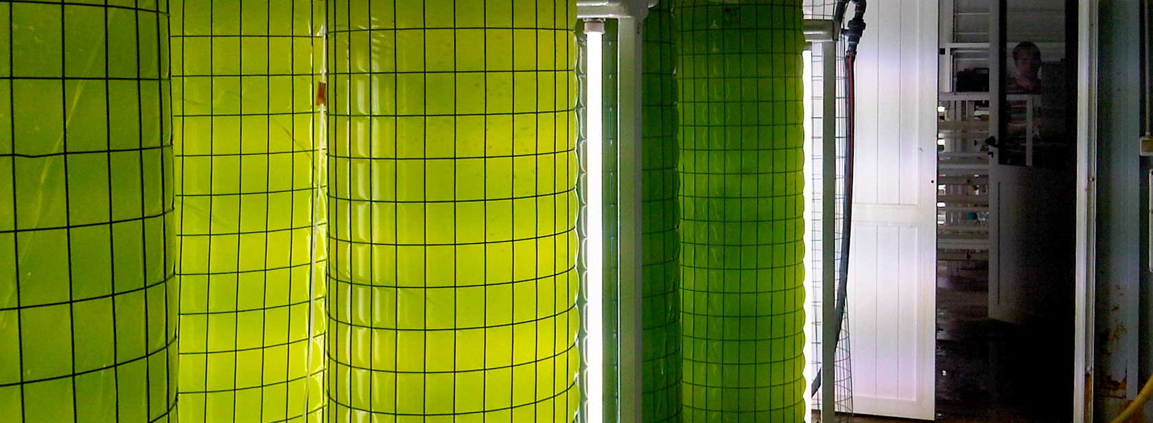 Water industrial process